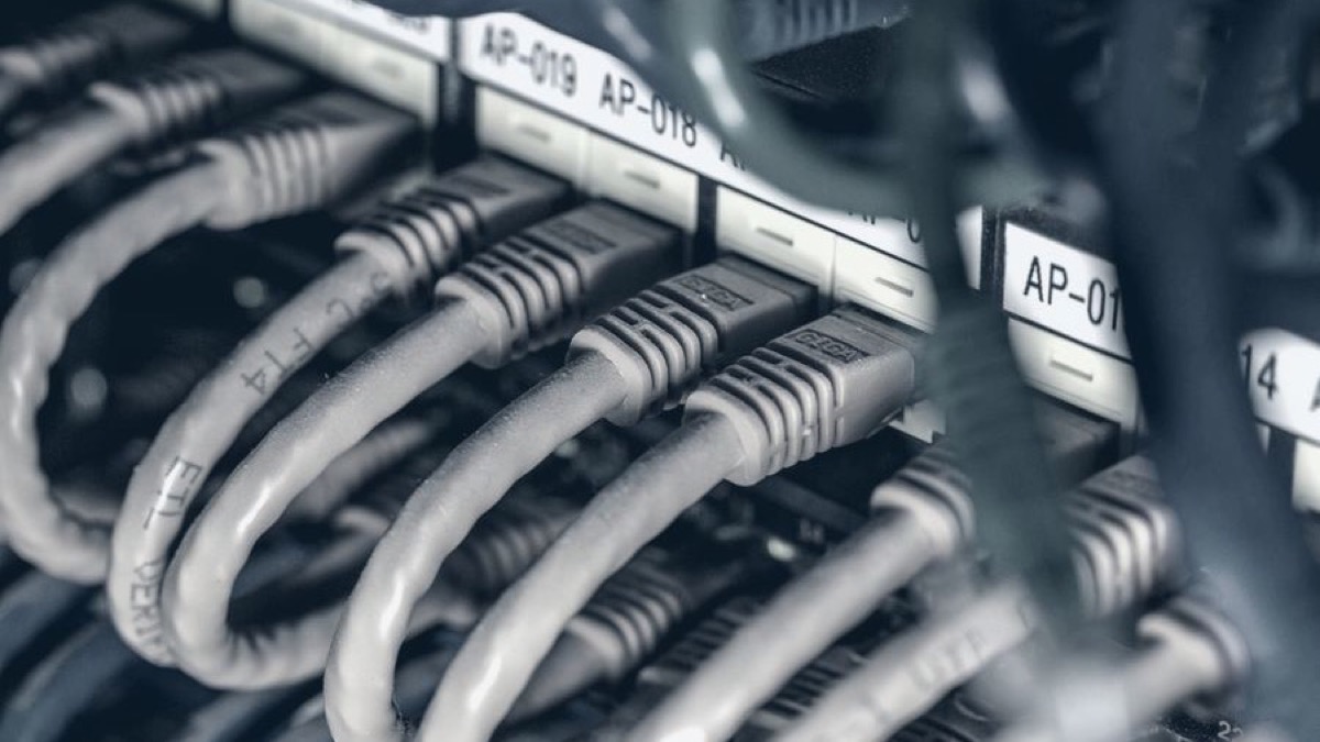 Cables de red conectados y organizados en un panel de distribución