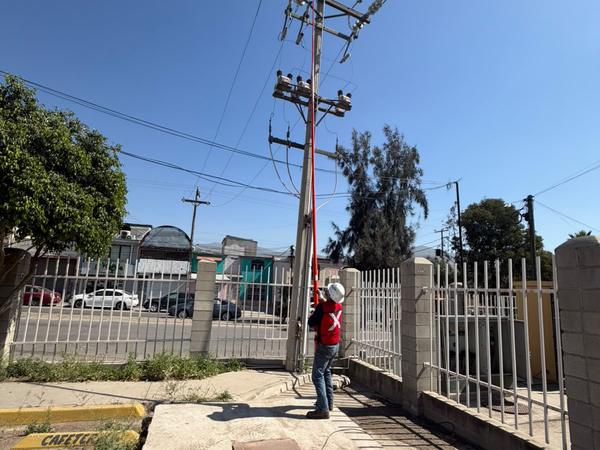 Reemplazo de fusibles en conexión de KPF, foto 2 de 6