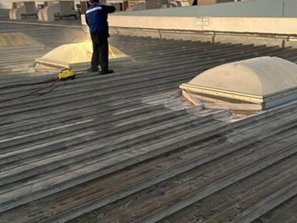 Reemplazo de impermeabilizante en 75 tragaluces, foto 4 de 4